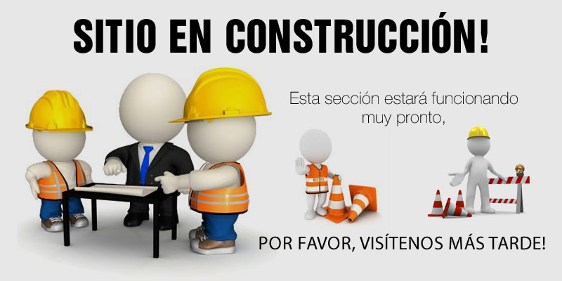 Pagina en construccion